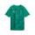 Sport Green-PUMA White-Power Green