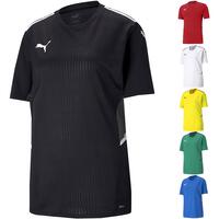 Puma teamCUP Trikot 704386