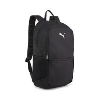 Puma teamGOAL Rucksack mit Ballnetz 090467