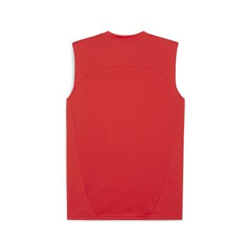 Puma teamFINAL Training Jersey SL 658559