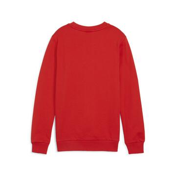 Puma teamGOAL Casuals Crew Neck Sweat Kinder 658593