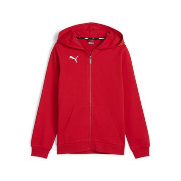 Puma teamGOAL Casuals Kapuzenjacke Kinder 658596