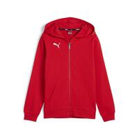 Puma teamGOAL Casuals Kapuzenjacke Kinder 658596