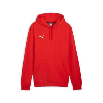 Puma teamGOAL Casuals Hoody 658618
