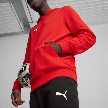 Puma teamGOAL Casuals Hoody 658618