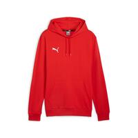 Puma teamGOAL Casuals Hoody 658618
