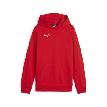 Puma teamGOAL Casuals Hoody Kinder 658619