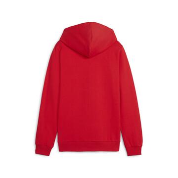 Puma teamGOAL Casuals Hoody Kinder 658619