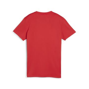 Puma teamGOAL Jersey Damen 658638