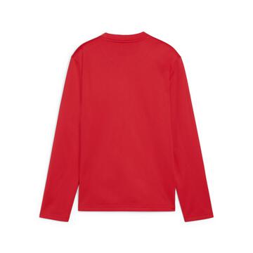 Puma teamGOAL Training Sweat Kinder 658651