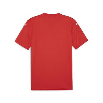 Puma teamGLORY Jersey v24 705740