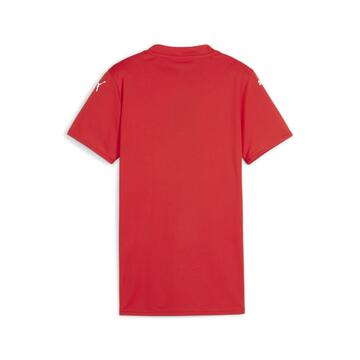 Puma teamGLORY Jersey Damen 705742