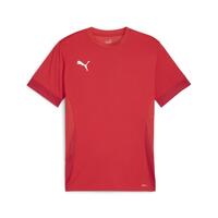 Puma teamGOAL Matchday Jersey 705747