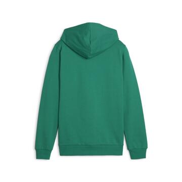 Puma teamGOAL Casuals Hoody Jr 658619 Sport Green-PUMA White - Gr. 128