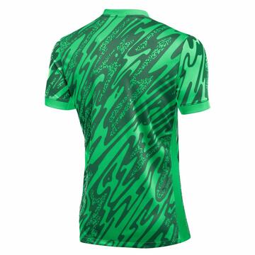 Nike Gardien V Torwart Trikot FD7482