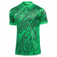 Nike Gardien V Torwart Trikot FD7482