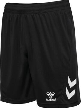 hummel Logo Trikot Set 226151