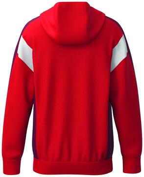 Erima Celebrate 125 Trainingsjacke mit Kapuze