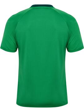 hummel Match Triumph Trikot Kinder 233158 JELLY BEAN/BOTANICAL GARDEN - Gr. 140