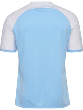 hummel Match League Trikot  233153 ARGENTINA BLUE/WHITE - Gr. M