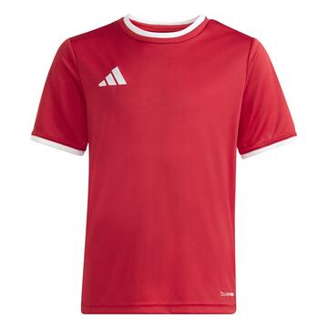 adidas Entrada 26 Trikot Kinder