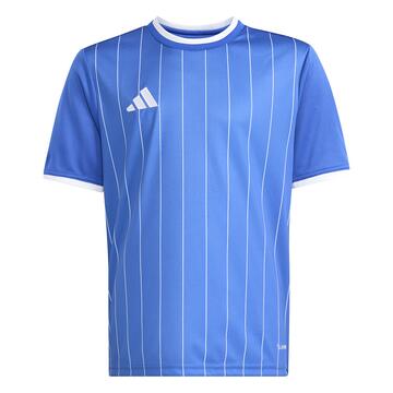 adidas Entrada 26 Graphic Trikot Kinder
