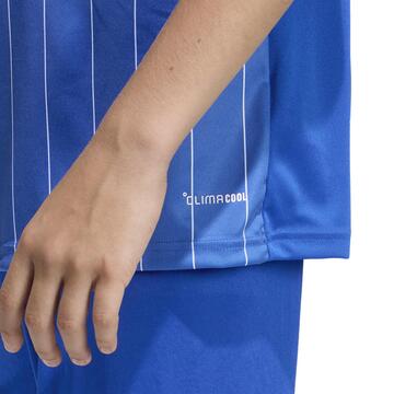 adidas Entrada 26 Graphic Trikot Kinder