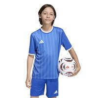 adidas Entrada 26 Graphic Trikot Kinder