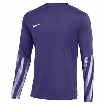 Nike Dri-FIT Park�V Torwart Trikot Langarm