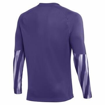 Nike Dri-FIT Park�V Torwart Trikot Langarm