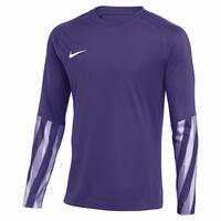Nike Dri-FIT Park�V Torwart Trikot Langarm