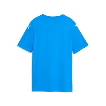 Puma teamFINAL26 Graphic Trikot Kinder